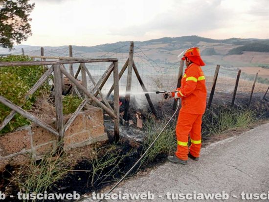 Proceno - Fulmine incendia di un albero, immediato l’intervento della Protezione civile