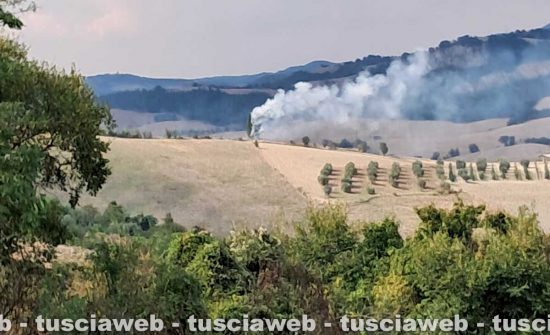 Proceno - Fulmine incendia di un albero, immediato l’intervento della Protezione civile