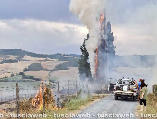 Proceno - Fulmine incendia di un albero, immediato l’intervento della Protezione civile