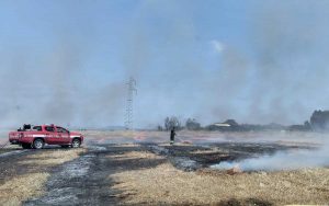 Tarquinia - Vasto incendio in località Bandita - I vigili del fuoco e i volontari Aeopc