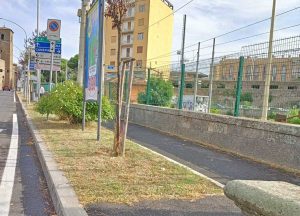 Porta Romana - L'erba raccolta dopo lo sfalcio