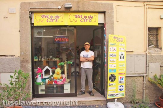 Viterbo - San Faustino - Francesco Guarnieri