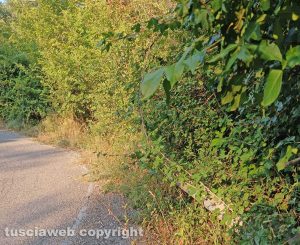 Bagnaia - Strada Costa Volpara