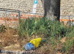Viterbo - Rifiuti ed erbacce a via Torino