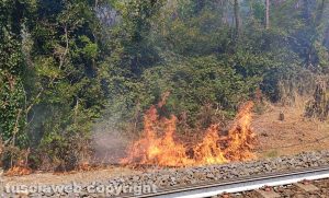 Vallerano - Incendio lungo la ferrovia