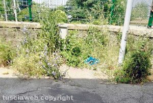 Viterbo - Via San Biele