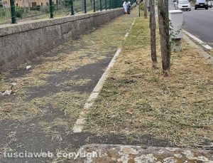 Porta Romana - Erba tagliata e non raccolta