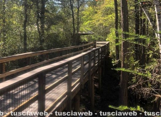 Santa Rosa County - La più grande foresta statale della Florida