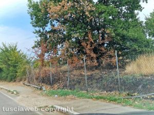 Il palo abbattuto dopo l'incendio a Faleri