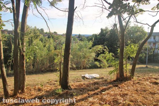 Viterbo - Trovato impiccato al parco della Mazzetta