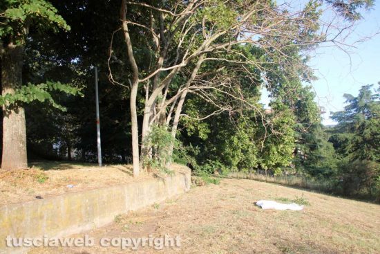 Viterbo - Trovato impiccato al parco della Mazzetta