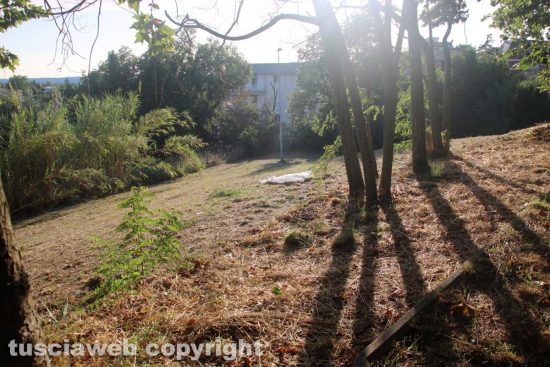 Viterbo - Trovato impiccato al parco della Mazzetta