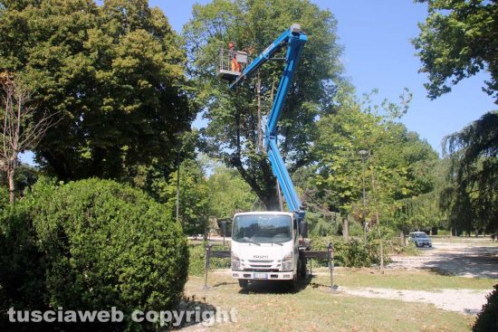 Viterbo - Pratogiardino Lucio Battisti - Il taglio degli alberi