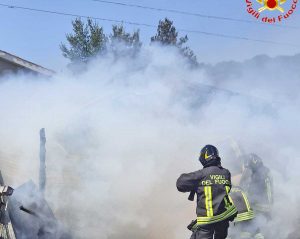 Tolfa - In fiamme un capanno di legname