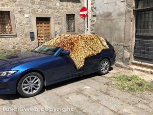 Viterbo - Una coperta appoggiata su un'auto in piazza Santa Maria Nuova