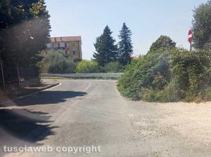 Erbacce a bordo strada a Bagnaia