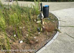 Viterbo - Sporcizia abbandonata a strada Riello