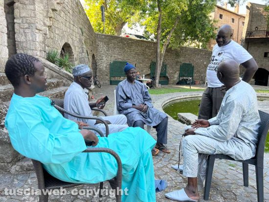 Viterbo - La festa di Serigne Touba