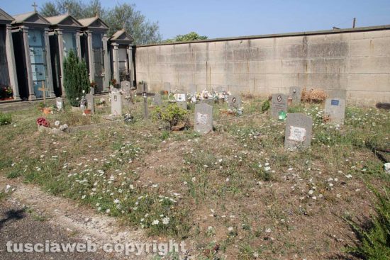 Bagnaia - Il cimitero nell'abbandono