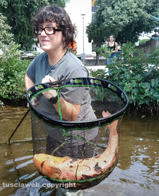Viterbo - Pratogiardino Battisti - Spostati i pesci dalla vasca grande