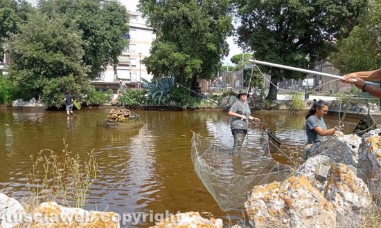 Viterbo - Pratogiardino Battisti - Spostati i pesci dalla vasca grande