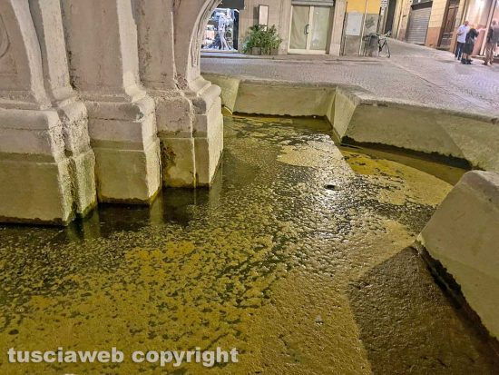 Viterbo - La fontana di piazza delle Erbe trasformata in acquitrino