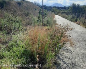 Viterbo - Pista ciclopedonale al Riello