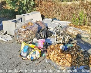 Rifiuti abbandonati a Civitavecchia