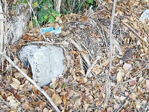 Capranica - ferri arrugginiti sporgono dal manufatto in via della Mattonara