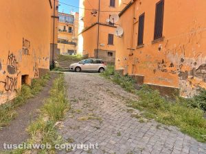 Erba alta in centro