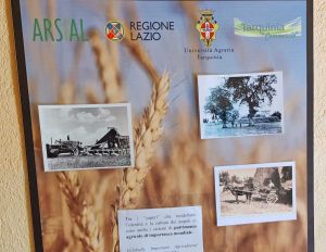 Tarquinia - Università agraria - Mostra fotografica
