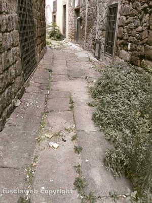 Viterbo - Incuria dietro palazzo Gatti