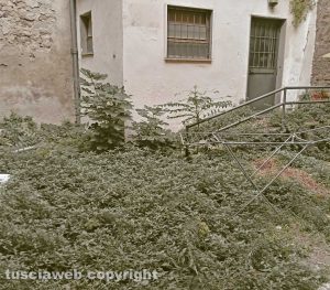 Viterbo - Incuria dietro palazzo Gatti