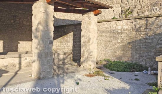Viterbo - Degrado al lavatoio in via Signorelli