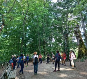 Monti Cimini - Il corso sul benessere forestale