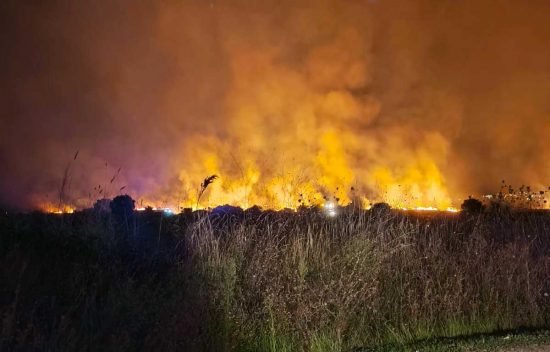 Tarquinia - Vasto incendio incendio a Sant’Agostino