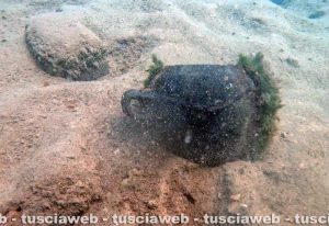 Valentano - Lago di Mezzano - Ripresi gli scavi archeologici del protostorico sommerso