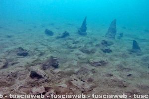 Valentano - Lago di Mezzano - Ripresi gli scavi archeologici del protostorico sommerso