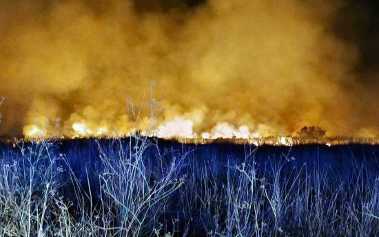 Tarquinia - Vasto incendio incendio a Sant’Agostino
