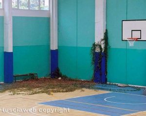 Bassano Romano - Erbe infestanti all'interno del palazzetto dello sport