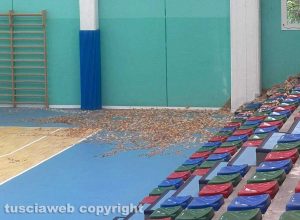 Bassano Romano - Erbe infestanti all'interno del palazzetto dello sport