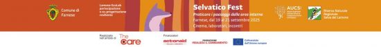 AUCS poster fine informazione