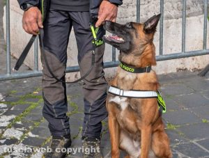 Vigili del fuoco - Unità cinofila - Il cane Hero