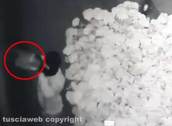 Vetralla - Il ladro preleva il bottino in una villetta in via Forocassio