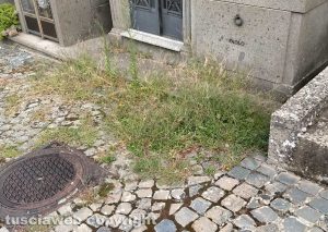 Viterbo - Il cimitero di San martino al Cimino nel completo abbandono