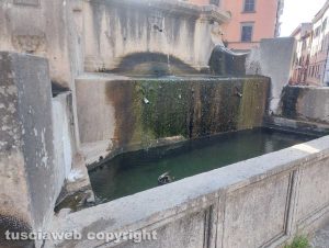 Viterbo - La fontana di piazza della Rocca