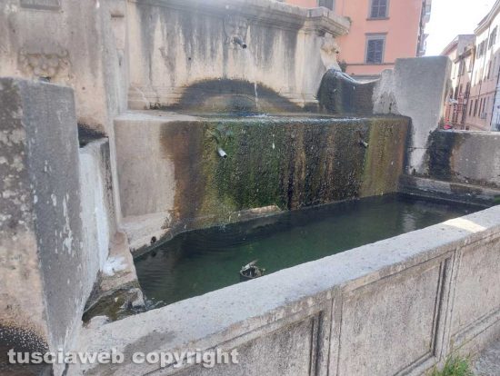 Viterbo - La fontana di piazza della Rocca
