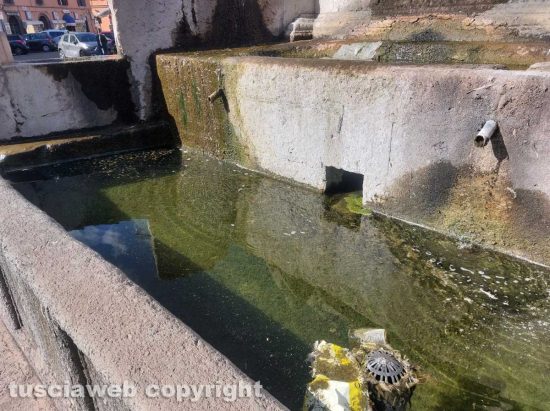 Viterbo - La fontana di piazza della Rocca