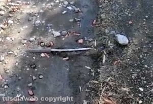 Vetralla - Via degli Olmi - Un cavo dell'elettricità fuoriesce dal terreno