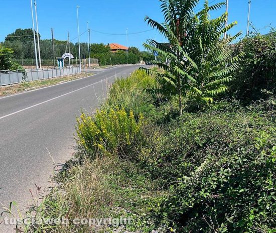 Viterbo - L'incuria a Ponte de Cetti